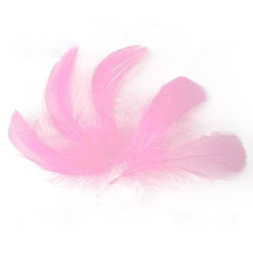 Набор перьев, Розовые, 5 шт, 9 см до 14 см, Фабрика Декора