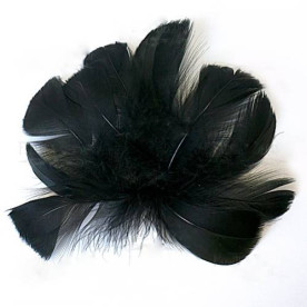 Набор перьев, Черные, 5 шт, 9 см до 14 см, Фабрика Декора
