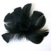 Набор перьев, Черные, 5 шт, 9 см до 14 см, Фабрика Декора