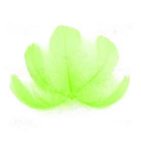 Набір пір'я, Салатові, 5 шт, 9 см до 14 см, Фабрика Декору