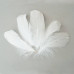 Набор перьев, Белые, 5 шт, 9 см до 14 см, Фабрика Декора