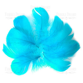 Набір пір'я, Лазурний, 5 шт, 9 см до 14 см, Фабрика Декору