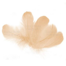 Набір пір'я, Кремовий, 5 шт, 9 см до 14 см, Фабрика Декору