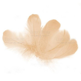 Набір пір'я, Кремовий, 5 шт, 9 см до 14 см, Фабрика Декору