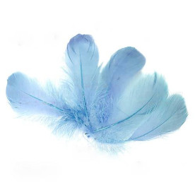 Набір пір'я, Небесний, 5 шт, 9 см до 14 см, Фабрика Декору