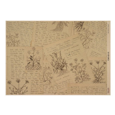 Аркуш крафт паперу з малюнком Botanical backgrounds #01, 42x29,7 см, Фабрика Декору