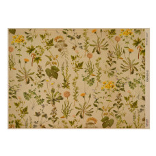 Аркуш крафт паперу з малюнком Botanical backgrounds #05, 42x29,7 см, Фабрика Декору