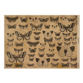 Аркуш крафт паперу з малюнком Botanical backgrounds #07, 42x29,7 см, Фабрика Декору