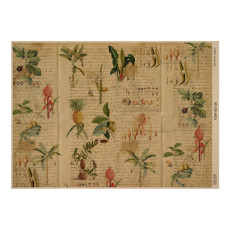 Аркуш крафт паперу з малюнком Botanical backgrounds #08, 42x29,7 см, Фабрика Декору