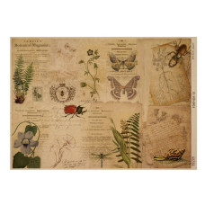Аркуш крафт паперу з малюнком Botanical backgrounds #10, 42x29,7 см, Фабрика Декору