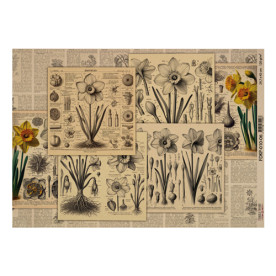 Лист крафт бумаги с рисунком Botany Spring #06, 42x29,7 см, Фабрика Декора