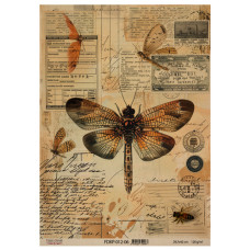 Лист крафт бумаги с рисунком Naturalist Notes 06, 42x29,7 см, Фабрика Декора