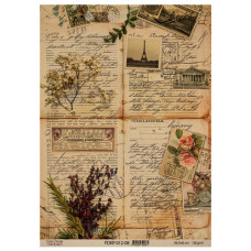 Лист крафт бумаги с рисунком Naturalist Notes 08, 42x29,7 см, Фабрика Декора