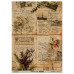 Лист крафт бумаги с рисунком Naturalist Notes 08, 42x29,7 см, Фабрика Декора