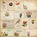 Набір скраппаперу Spring botanical story 20х20 см, Фабрика Декору