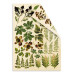 Набор двусторонних картинок для вырезания Botany Summer 15х20см, Фабрика Декора