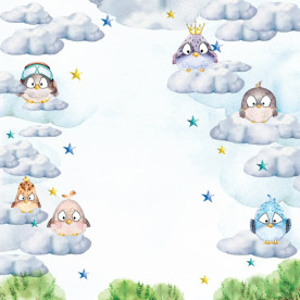 Лист двусторонней бумаги для скрапбукинга Cutie sparrow boy #48-04 30,5х30,5 см, Фабрика Декора