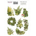 Набір наклейок для планерів Summer Botanical Story, #174 Фабрика Декору