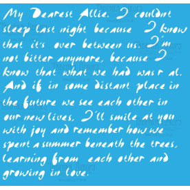 Трафарет багаторазовий, Рукописний текст # 095, 15x20 см, Фабрика Декору