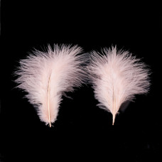Набор окрашенных перьев, 10 шт, пыльная роза, от 120 до 190 мм, от 30 до 56 мм
