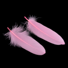 Набор окрашенных гусиных перьев, 10 шт, розовый, от 160 до 215 мм, от 36 до 47 мм