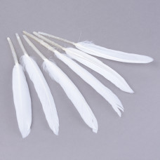 Набор окрашенных гусиных перьев, 10 шт, белые, длина 10-17 см, ширина 13-25 мм