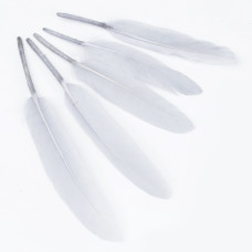 Набор окрашенных гусиных перьев, 10 шт, светло-серые, 10-17 см,13-25 мм