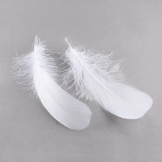 Набор окрашенных гусиных перьев, 10 шт, белый, от 34 до 50 мм, длина от 145 до 190 мм