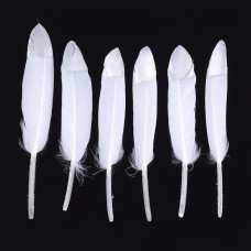 Набор гусиных перьев, цвет белый и серебро, 13-17 см, 5 штук