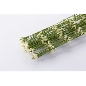 Ива декоративная, кремовый, 1 веточка, 65см