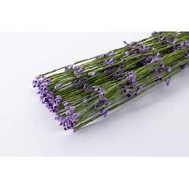 Верба гілочка декоративна, бузковий, 1 гілочка, 65см