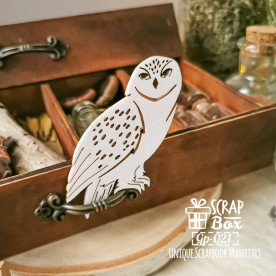 Чіпборд, Гаррі Поттер, Сова Букля, 45x60 мм, ScrapBox