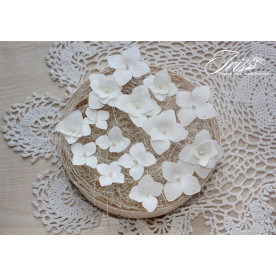 Набор гортензий белого цвета, 22-33 мм, 15 шт, Iris