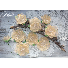 Набор цветов и декора, Royalty flowers Нежный персик, 45-60 мм, 9 шт, Iris