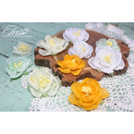 Набор цветов и декора, Royalty flowers Желто-зеленый микс, 40-50 мм, 10 шт, Iris