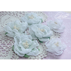 Набор цветов и декора, Royalty flowers Белые, 40-50 мм, 6 шт, Iris