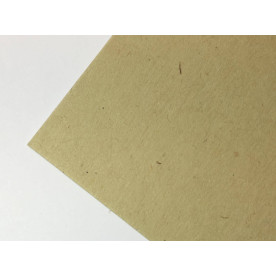 Картон Flora tabacco, бежевый, 100г/м2, 30х30