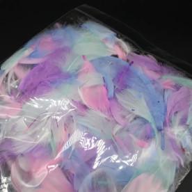 Декор міні Пір'ячко пухнасте, довжина пір'я 3-5 см, колір пастель, набір близько 50 шт