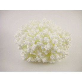 Тычинки для рукоделия на ветках, белый, 12шт/пучок