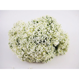 Тычинки для рукоделия на проволоке, цвет бежевый, 12шт/пучок