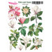 Наклейки, Magic Story Flora and Fauna Магнолія, MLSTK03014, 13х18 см, Magenta Line