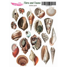 Набор наклеек Flora and Fauna Морские ракушки MLSTK03015, 13x18 см, Magenta Line