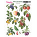 Наклейки, Magic Story Flora and Fauna Фруктовий сад, MLSTK03018, 13х18 см, Magenta Line