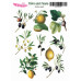 Наклейки, Magic Story Flora and Fauna Оливки та лимон, MLSTK03023, 13х18 см, Magenta Line