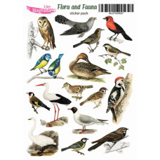 Наклейки, Magic Story Flora and Fauna Птахи MLSTK03027, 13х18 см, Magenta Line