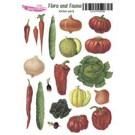 Набор наклеек Flora and Fauna Овощи, MLSTK03039, 13x18 см, Magenta Line