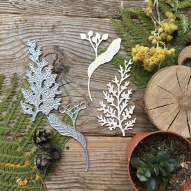 Набор ножей для вырубки Липа и туя, Mimicut