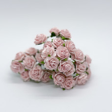 Набір диких трояндочок 20 мм, пастельний рожевий, 10 шт