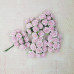 Набір диких трояндочок 20 мм, ніжно-рожевий, 10 шт