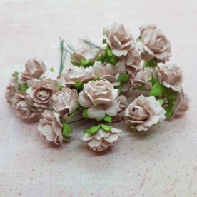 Набір диких трояндочок 25 мм, попелястий рожевий, 5 шт